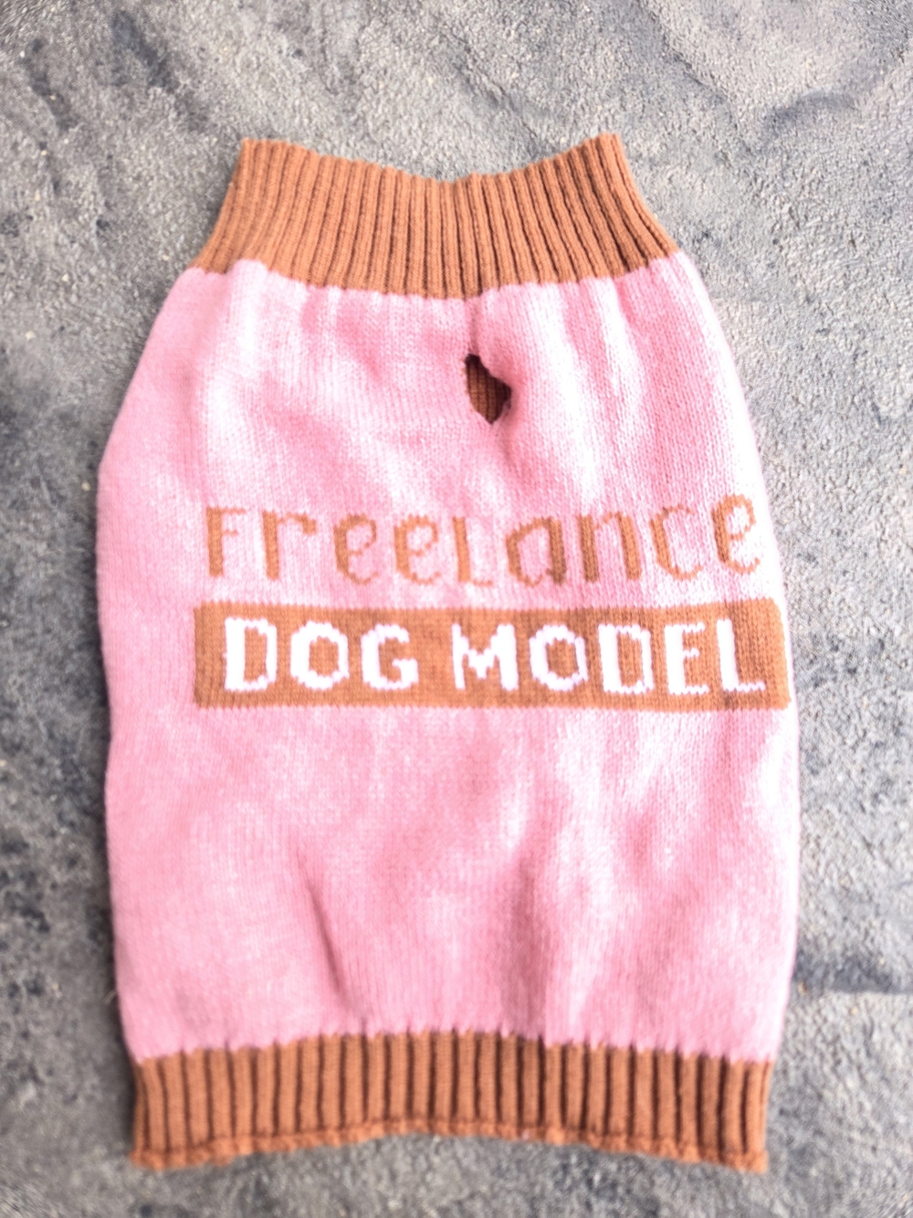 Dog Model Pink & Brown Knit Dog Sweater